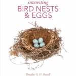 Interesting Bird Nests & Eggs