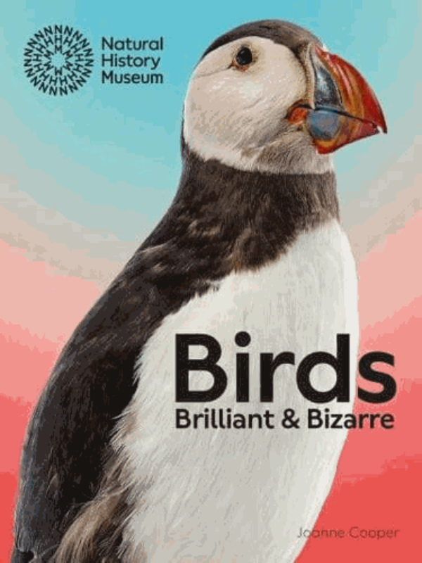 9780565095581 Birds - Slika 1
