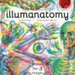 Illumanatomy