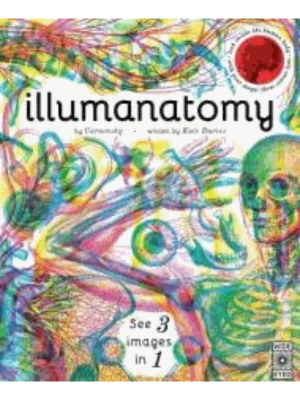 Illumanatomy