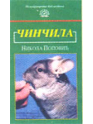 Činčila