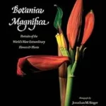 Botanica Magnifica