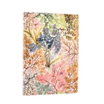 Notes -  Anemone Midi Linije