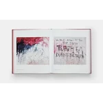 Tracey Emin Paintings