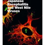 Japanese Encephalitis and West Nile Viruses (Current Topics in Microbiology and Immunology, 267)