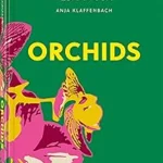 Orchids - Floramour