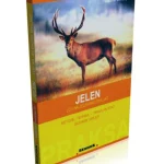 JELEN-LOV NA JELENSKU DIVLJAC