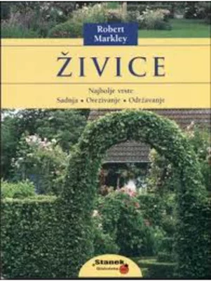 ZIVICE