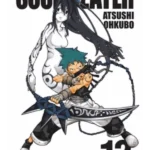 Soul Eater. Vol. 13