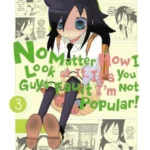 No Matter How I Look at It, It's You Guys' Fault I'm Not Popular. Vol. 3