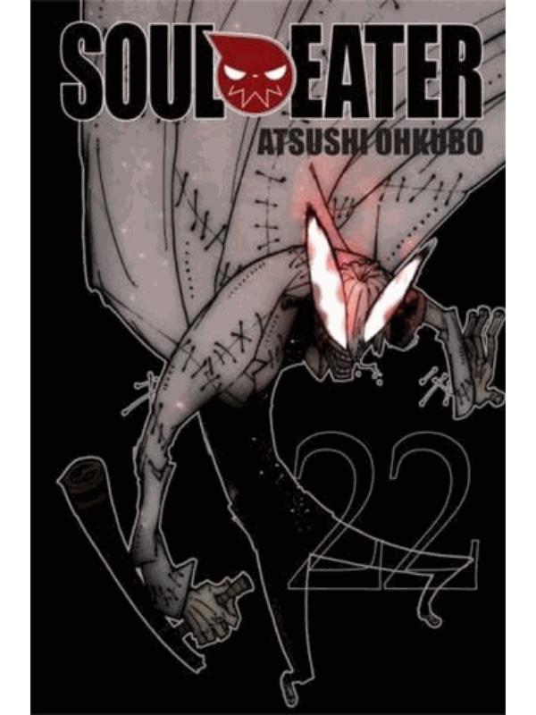 9780316406970 Soul Eater. Vol. 22 - Slika 1