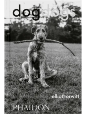 DogDogs