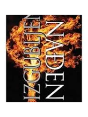 IZGUBLJEN I NADJEN-EVRO BOOK