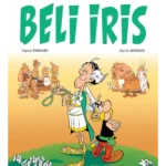 Beli iris Asteriks 40