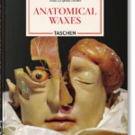 Anatomical Waxes