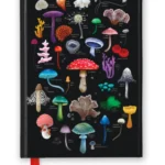 Anna Stead: Mushrooms & Fungi (Foiled Journal)