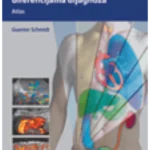 Ultrazvučna dijagnostika - diferencijalna dijagnoza, atlas