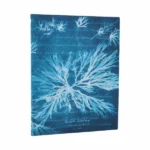 Notes - Sea Flowers Meki Ultra Linije