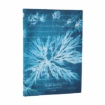 Notes - Sea Flowers Meki Midi Linije