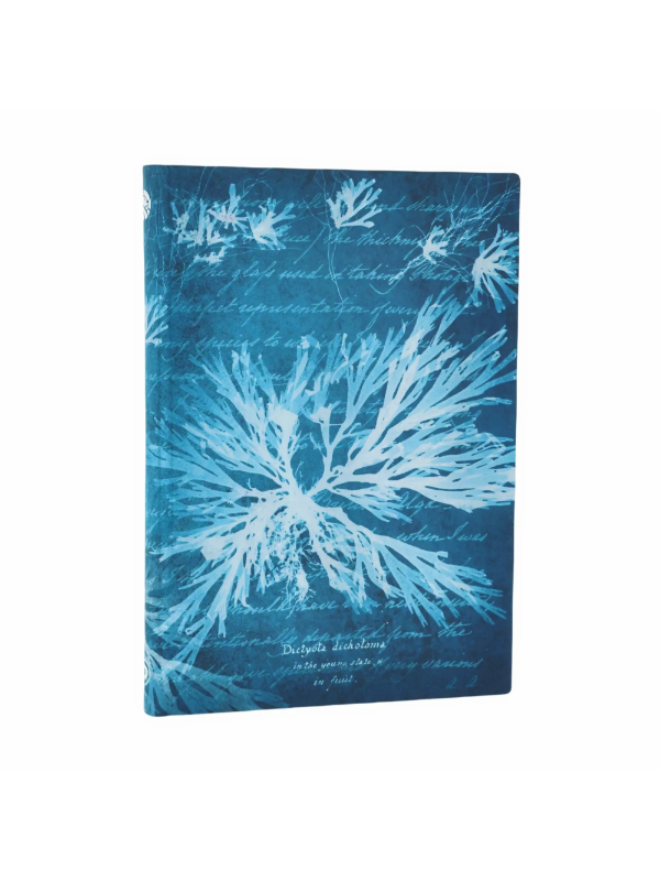 9780349713670 Notes - Sea Flowers Meki Midi Linije - Slika 1