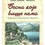 Bosna koje više nema