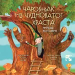 Čarobnjak iz čudnovatog hrasta