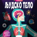 Potraži i pronađi : reflektor. Ljudsko telo