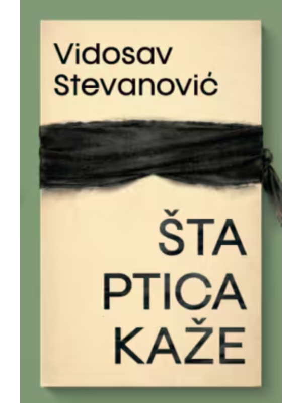 9788652156436 Šta ptica kaže - Slika 1