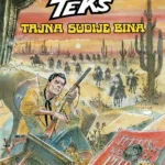 Tajna sudije Bina-Teks knjiga