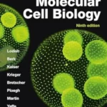 Molecular Cell Biology 8e (ie)