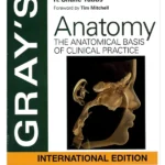 Gray's Anatomy: The Anatomical Basis of Clinical Practice - International Edition, 43rd Edition
