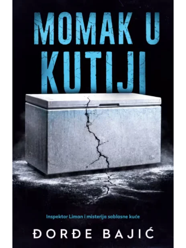 9788652161348 Momak u kutiji - Slika 1