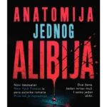 Anatomija jednog alibija
